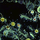 Image for article titled Could changing the ocean's color wipe out most hurricanes?